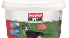 Lahko mačke dajejo mleko